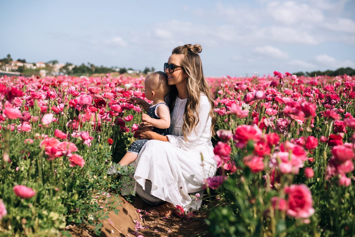 carlsbad flower fields